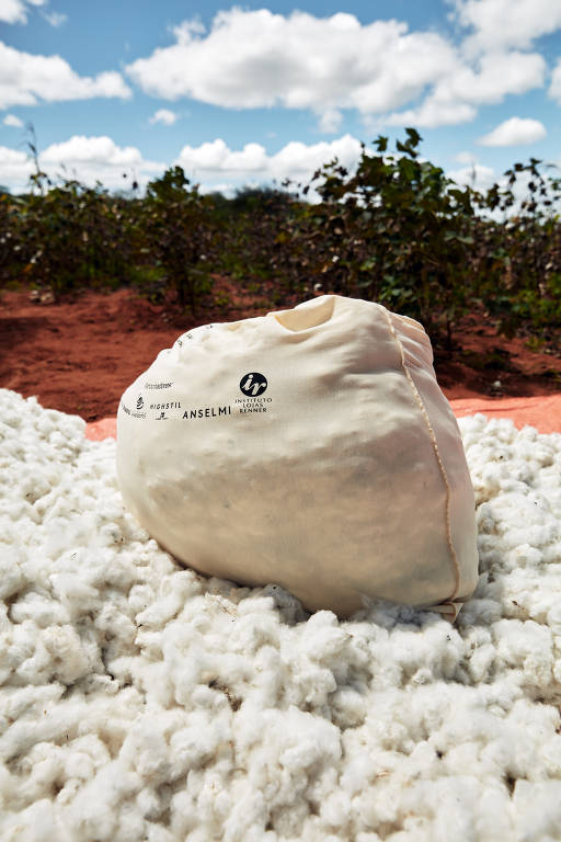 Algodão orgânico produzido no Nordeste aquece inverno no sul do país