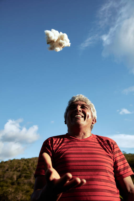 Pequeno agricultor tem na memória cultivo do algodão, que lotada campos do Nordeste até década de 1980