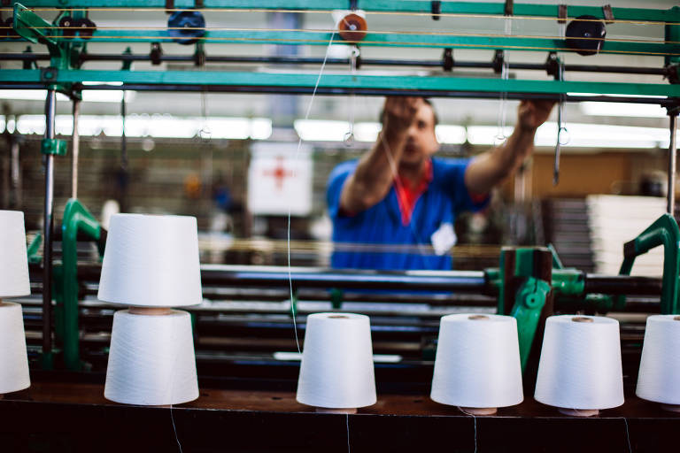 Malharia Anselmi planeja chegar a 10% de algodão orgânico em suas peças neste ano