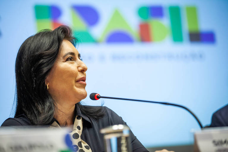 Ministra Simone Tebet (Planejamento) fala diante de um painel escrito Brasil