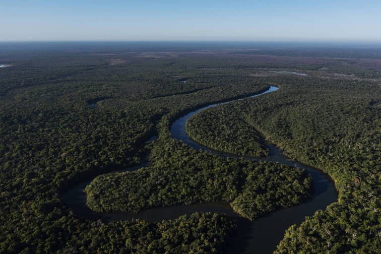 Vista aérea do rio cercado de floresta