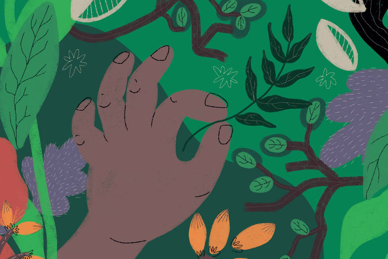 Quilombos do Vale do Ribeira inspiram livro sobre plantas da mata atlântica