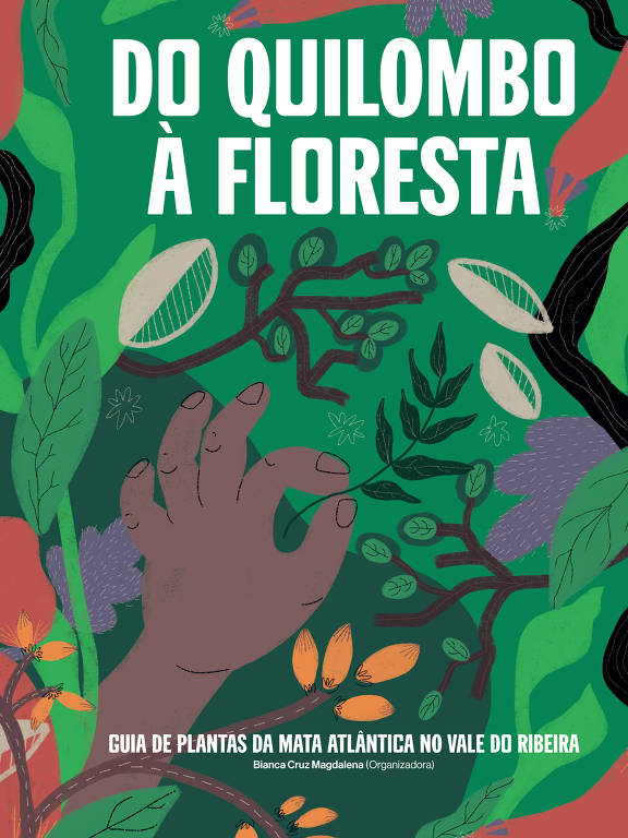 Um desenho mostra uma mão negra colhendo uma semente em meio a uma floresta 