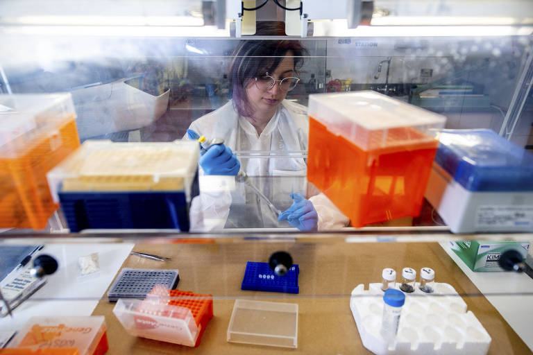 Funcionária da empresa Applied DNA Sciences testando amostras para rastrear a origem das matérias-primas, na Long Island High Technology Incubator em Nova York, nos EUA 