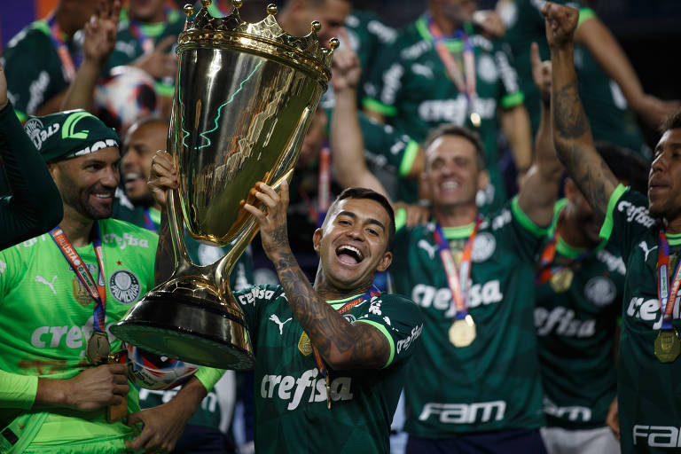 Paulista Soccer Championship Final Palmeiras Agua Santa Palmeiras  Celebrates Title – Stock Editorial Photo © thenews2.com #650484324