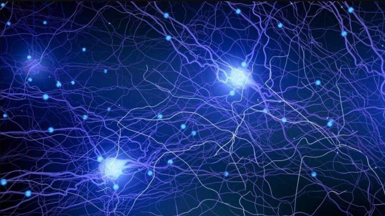 Ilustração de neurônios dentro do cérebro