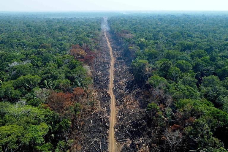 Foto aérea de um "corredor" de desmatamento em meio a árvores de pé