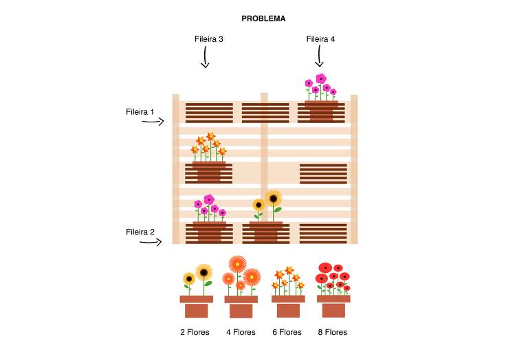 Desafios de Matemática: ajude a florista a montar um jardim vertical