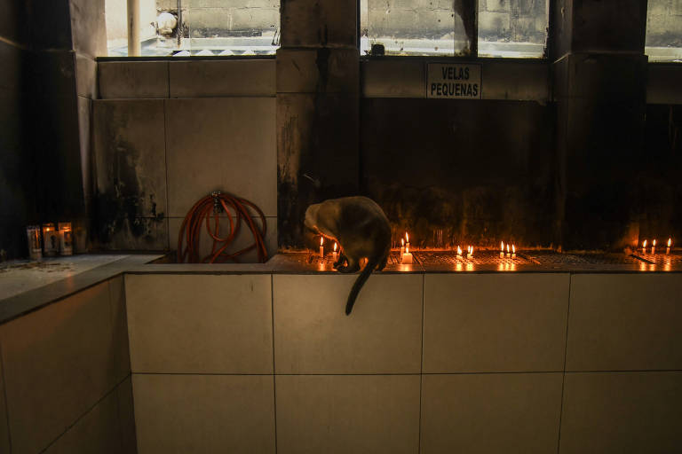 Velário da Capela dos Aflitos, que será reconstruído com a reforma do templo
