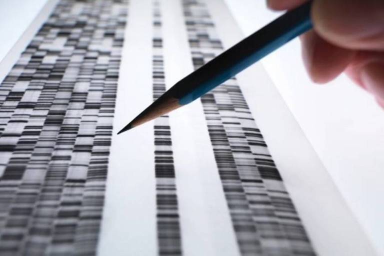 O mistério do 'genoma obscuro' que compõe 98% do nosso DNA