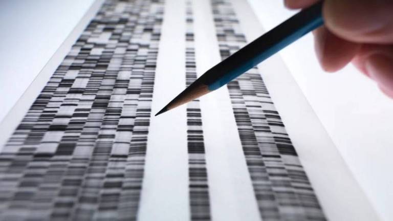Uma folha de papel com parte do genoma humano impresso é revisto por um cientista