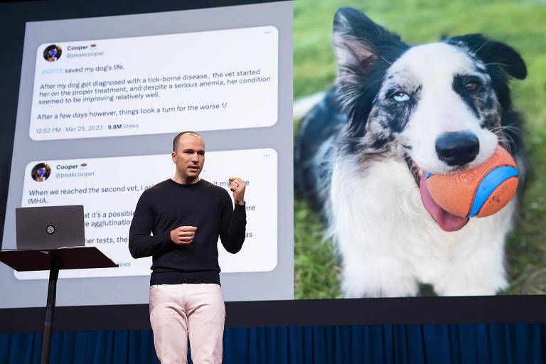 Greg Brockman é um homem branco e calvo. Veste moletom preto e está à frente de um slide que mostra um cachorro da raça border collie com uma bola laranja na boca.