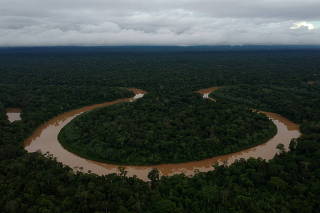 General view of Itacoai river, on indigenous land in Javari Valley