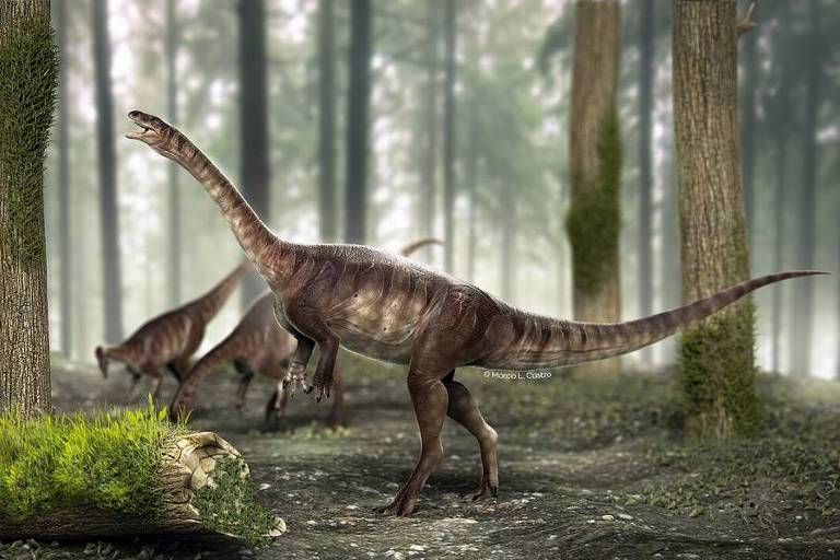 Fóssil brasileiro é evidência mais antiga de traço evolutivo que favoreceu gigantismo de dinossauros