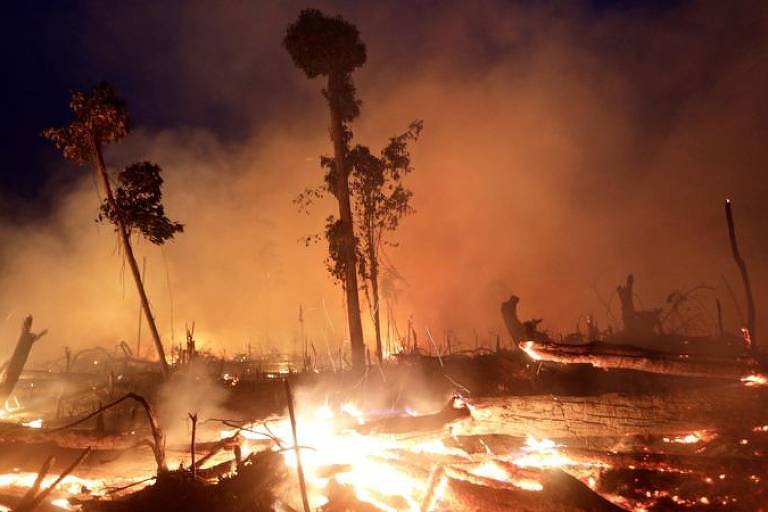 Fogo em Machadinho do Oeste, em Rondônia, dentro da Floresta Amazônica