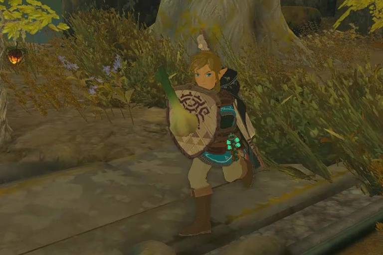 Link e seu escudo com vegetal