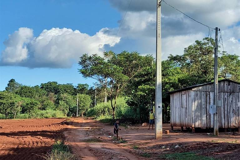 Agronegócio já avançou sobre 60% de território indígena no oeste do Paraná, diz estudo