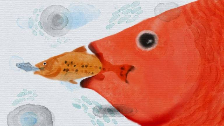 Arte ilustra um peixe vermelho comendo outro peixe menor de cor laranja