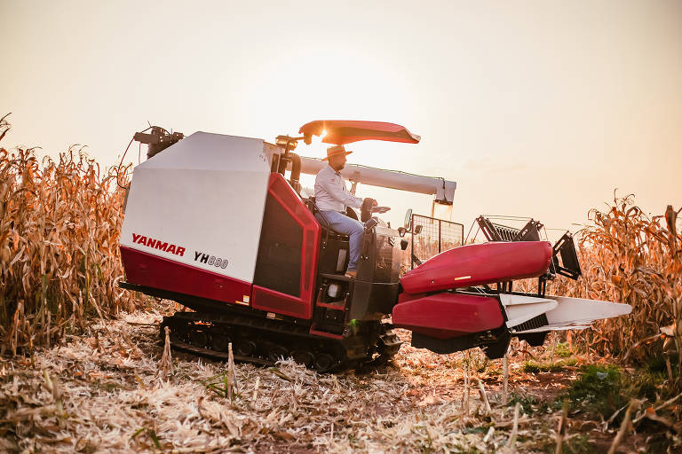 Colheitadeira Yanmar YH 880, que foi projetada sob esteira de borracha com o objetivo de reduzir a compactação de solo e estará na Agrishow