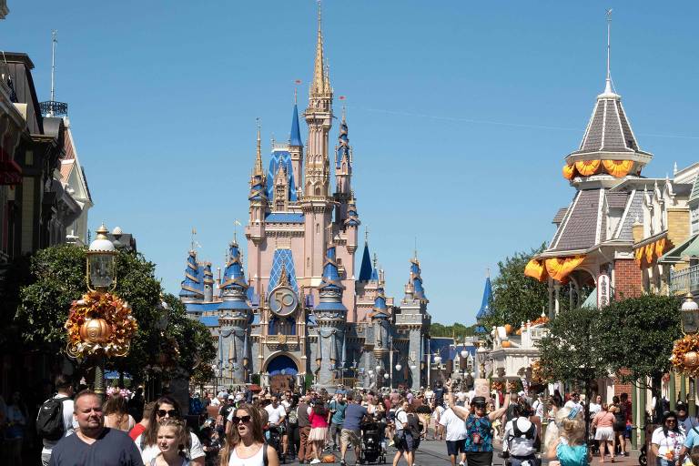 Disney fecha atrações do Magic Kingdom por invasão de urso
