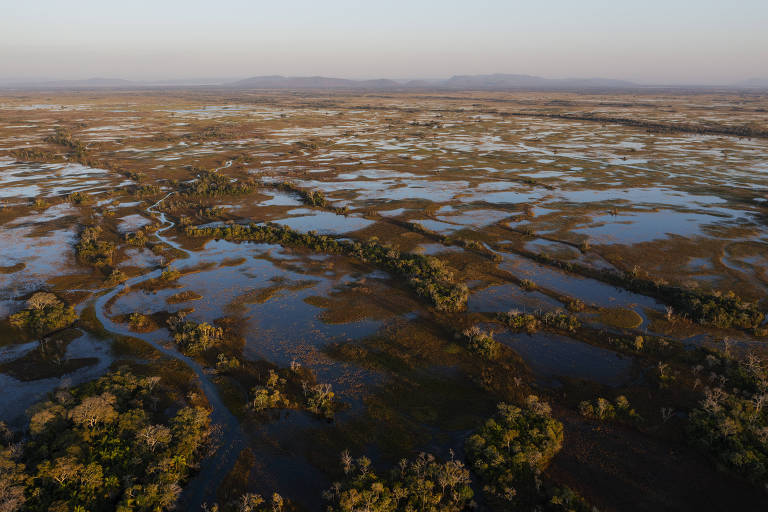 Novos livros ajudam a compreender história do Pantanal