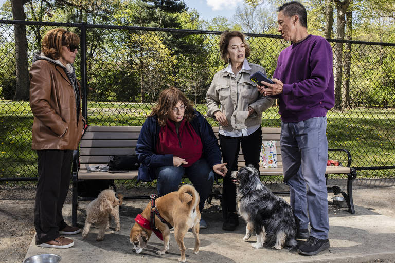 Pessoas com cachorros num banco de parque