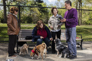 From left, Victoria Tirondola, Pattie Marsh, Lee Geanoules and Lam Gong with their dogs at Brookdale Park in Bloomfield, N.J., April 19, 2023. (Bryan Anselm/The New York Times)
