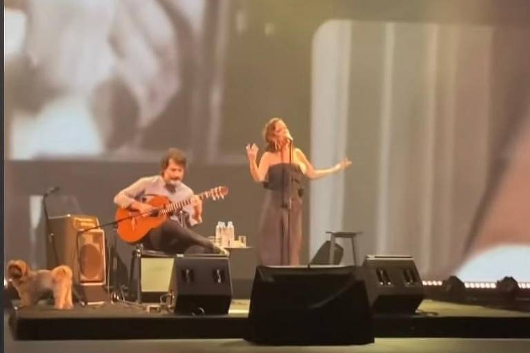 Cachorra surpreende Bebel Gilberto durante show em homenagem a João Gilberto
