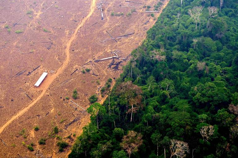 Área de floresta destruída na região de Labrea, no Amazonas