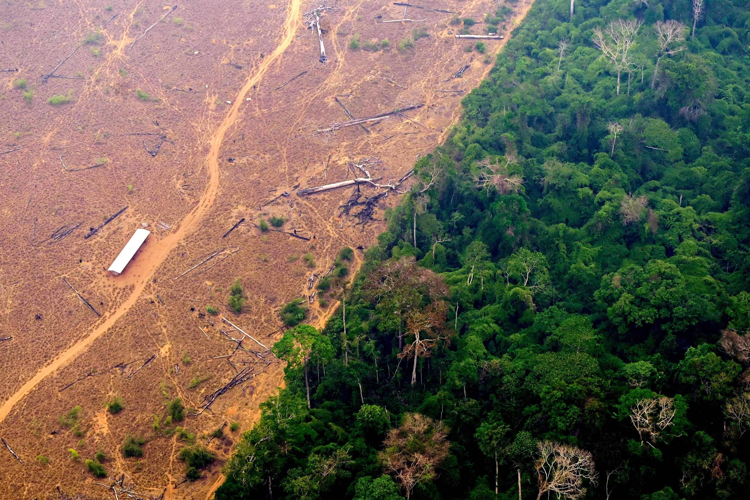 Estudo mostra que as é o estado com maior área de terras públicas  'sem destinação' na Amazônia Legal, as