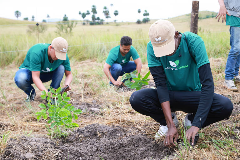 Alunos do Ambiente Jovem plantam árvores em Seropédica, na Baixada Fluminense