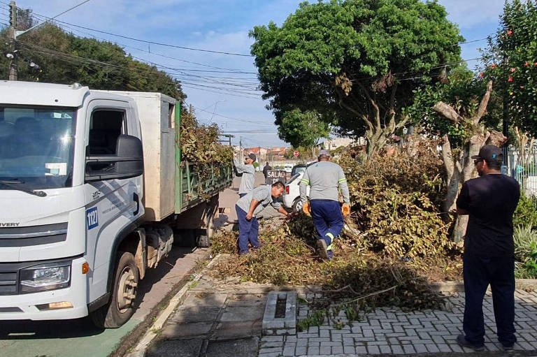 Homens removem pedaços de árvores de uma calçada e colocam em caçamba de caminhão.