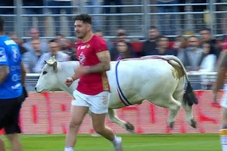 Touro invade campo de rugby na França e persegue jogadores