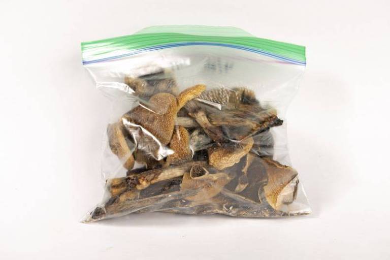 Cogumelos marrons embalados em um saco plástico a vácuo com fundo branco