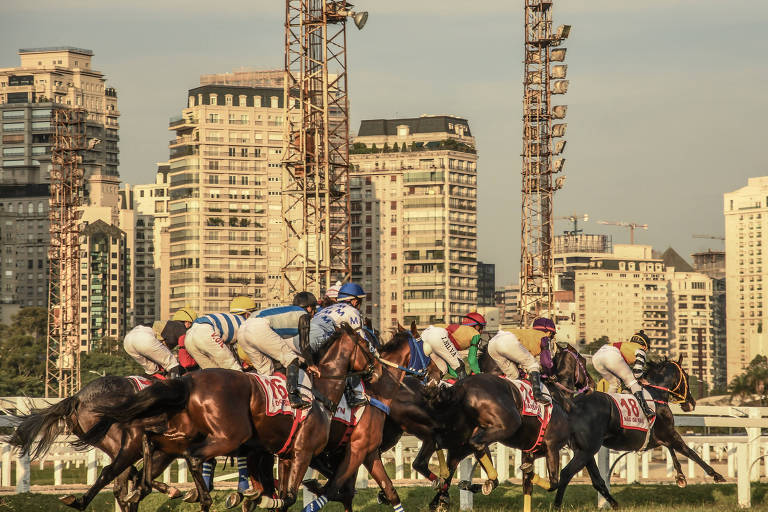 As corridas de cavalo devem ser proibidas em São Paulo? SIM