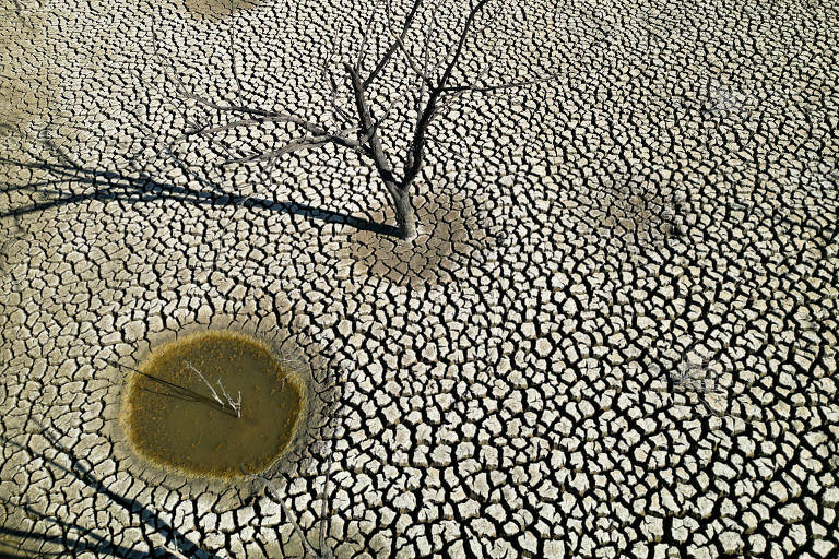 Terra seca com galhos retorcidos 