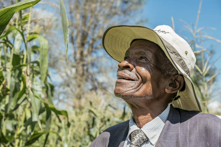 Agricultores do Maláui mudam cultivo para driblar crise climática