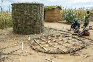 Building a bin for maize in the village of Choumba, Malawi on March 24, 2023. (Khadija Farah/The New York Times)