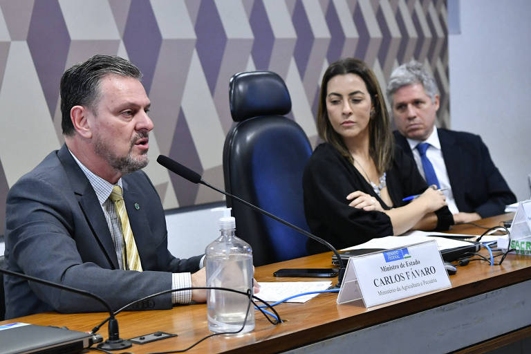 Os ministros da Agricultura, Carlos Fávaro, e do Desenvolvimento Agrário, Paulo Teixeira, em audiência no Senado presidida por Soraya Thronicke