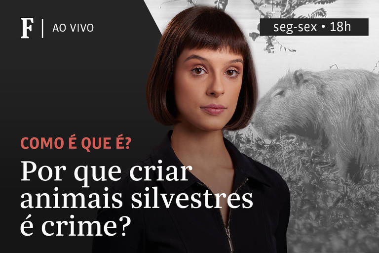 TV Folha explica por que criar animais silvestres é crime
