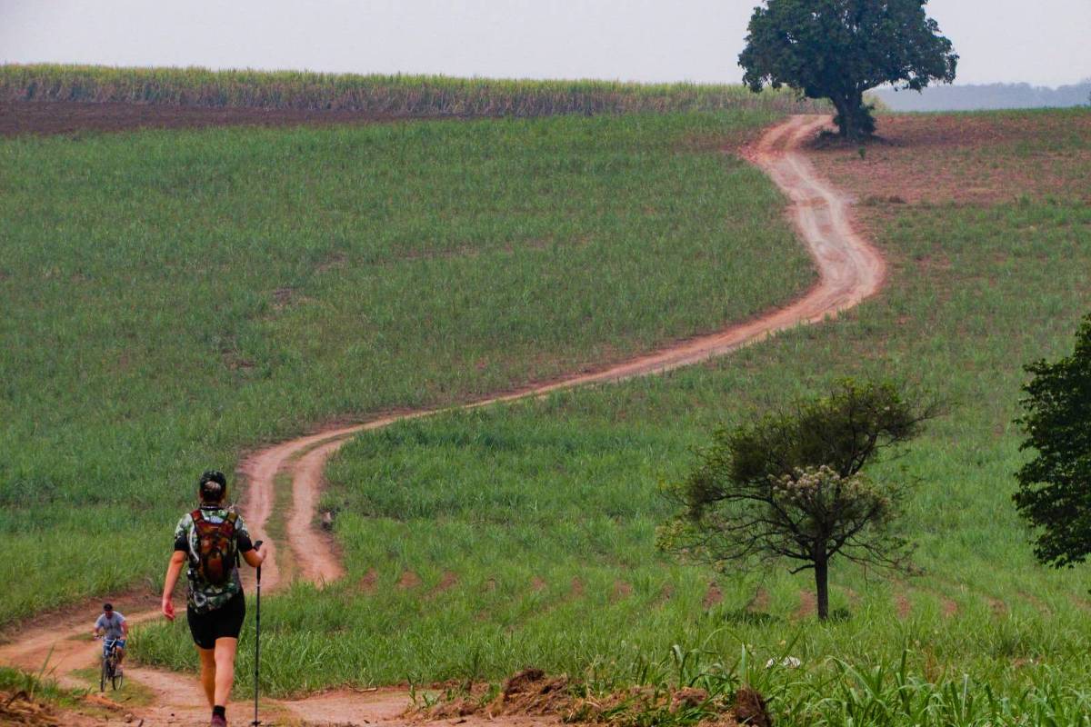 Caminho do Mosteiro is a trail for beginners – 05/11/2023 – É Logo Ali