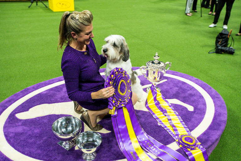 Buddy Holly, o vencedor de uma das principais competições caninas do mundo 