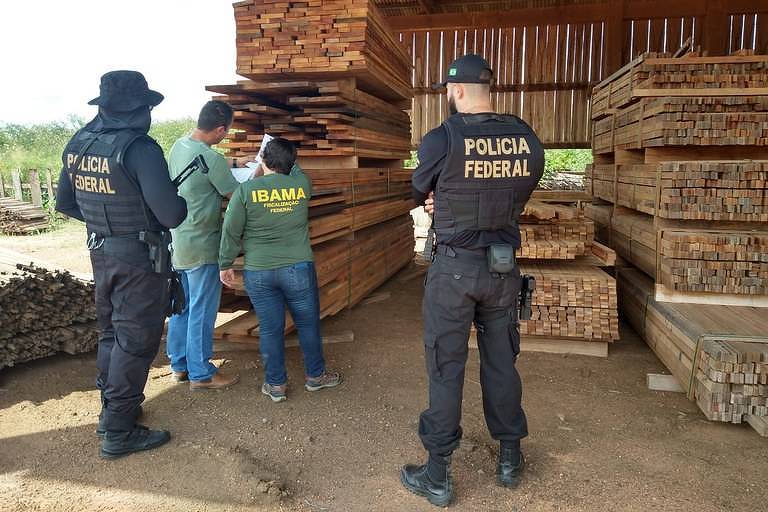 foto mostra agentes inspecionando madeira, é possível ver inscrições de polícia federal e ibama nos uniformes