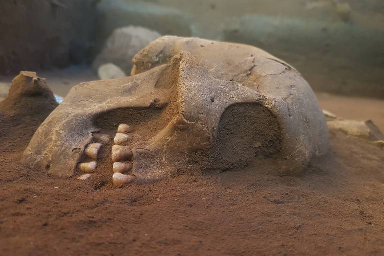 Achados arqueológicos em Serranópolis revelam o que pode ser humano mais antigo na região