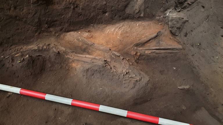 Saiba como foi descoberto o fóssil humano com idade estimada de 12 mil anos em Goiás