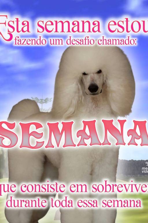 Desafio: sobreviver à semana