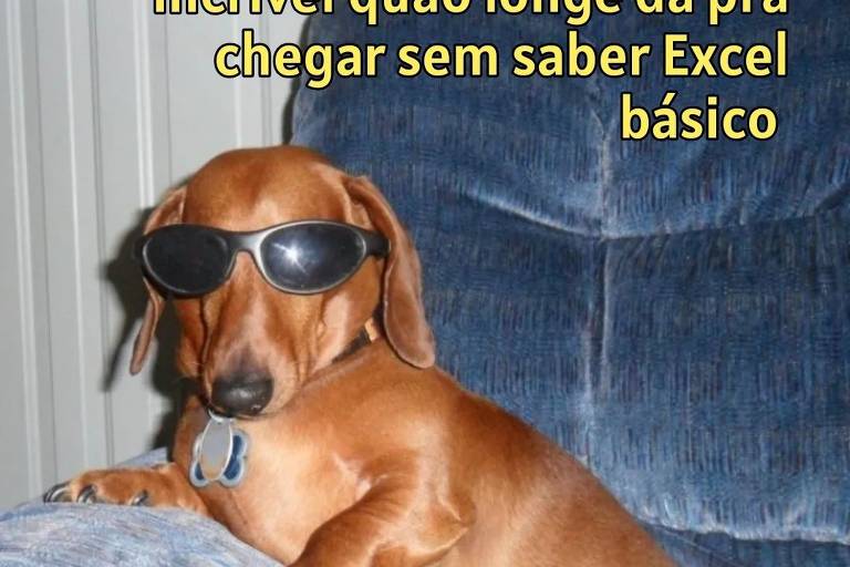 Em seus memes, Melted Videos aborda temas como demandas do mercado de trabalho