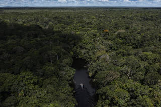 Trecho da floresta amazônica em Barcelos, no Amazonas