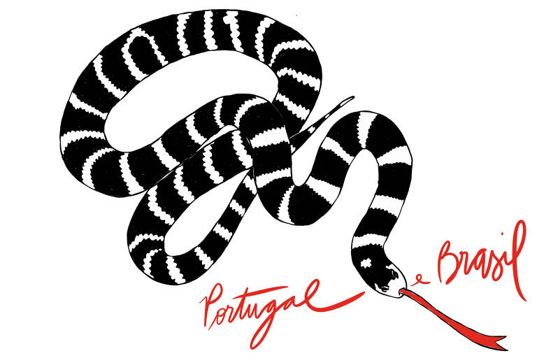 No desenho de Luiza Pannunzio vemos uma cobra listrada de preto e branco, semi enrolada nela mesma com a língua bífida vermelha para fora e as seguintes palavras em vermelho distribuídas ao redor dela: Portugal e Brasil.