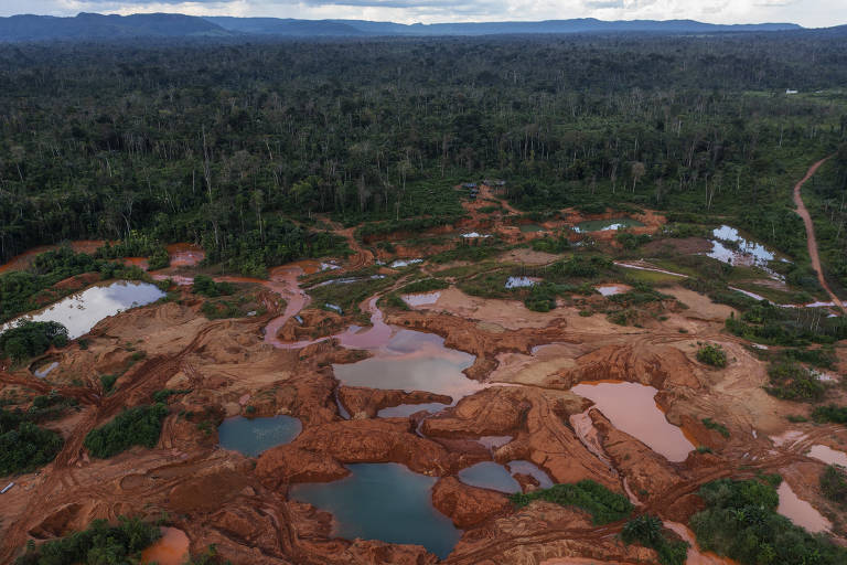 Reportagens da Folha na Amazônia vencem prêmios de jornalismo